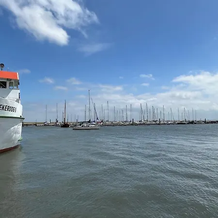 Alte Liebe - 9 アパート